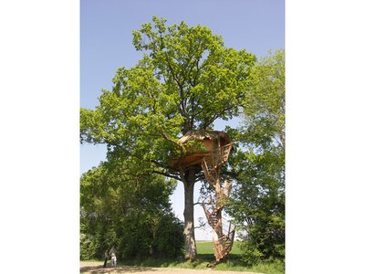 Cabanes dans les arbres de la Grande Noé - Moulicent