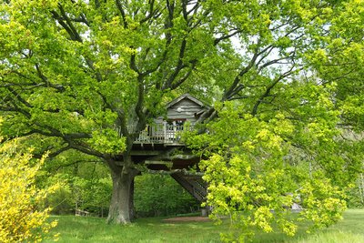 cabane1_mai2017©Mengeot