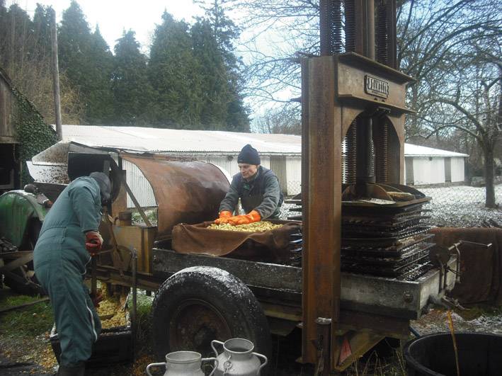 ferme de la ribardiere cidre athis de l'orne