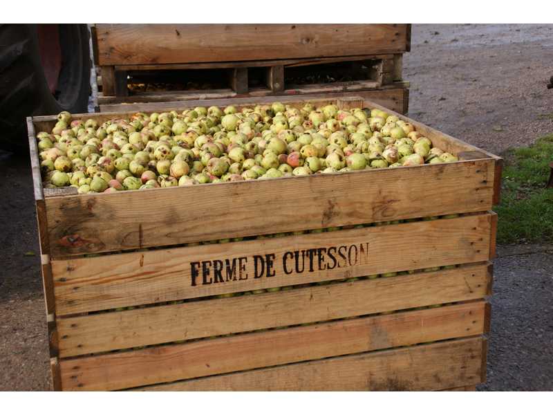 Ferme de Cutesson - Vimoutiers