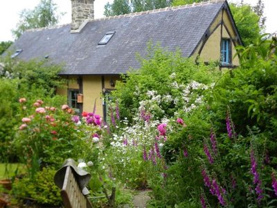 La Bergerie - Rugosa