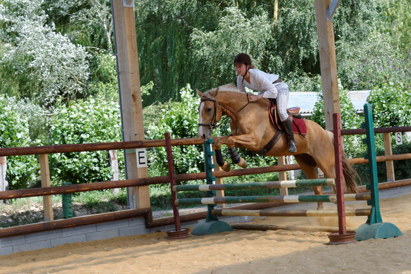 ©centre_equestre_Montmirel (3)red