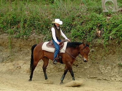 American Horse Riding Academy