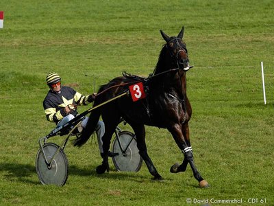 Hippodrome