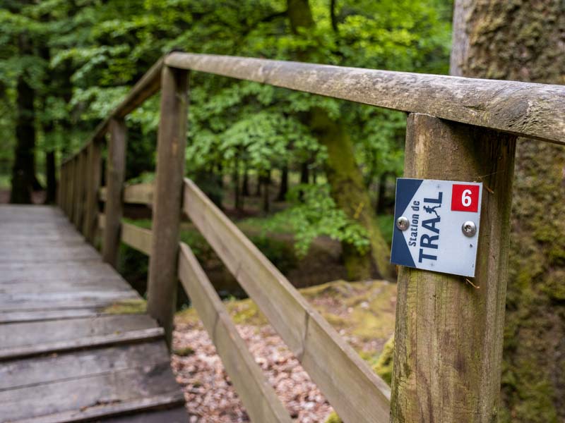 Trail en massif d'Ecouves