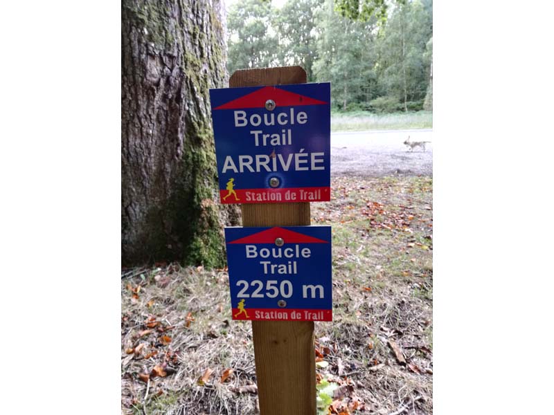 Station de trail du massif d'Ecouves