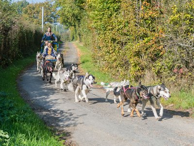 Attelage canin - Moutiers au Perche