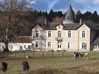 Haras EOZ - Saint Nicolas des Bois