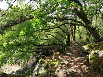 Gorges de Villiers