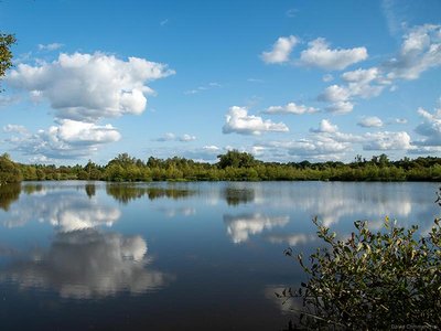 Marais du Grand Hazé