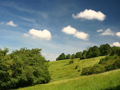 Le Coteau des Champs Genêts