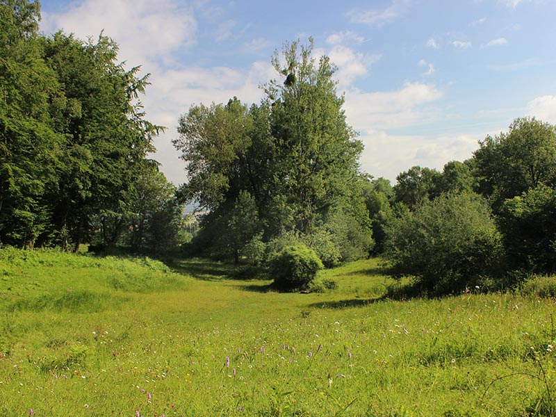 Site de Sainte Eugénie