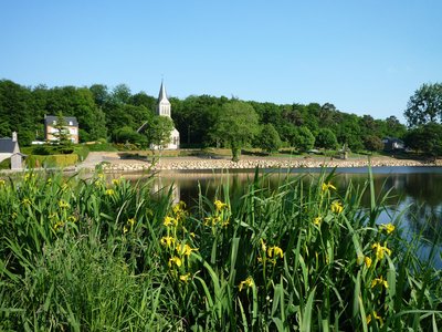 Etang de la Queue d'Aronde - Athis de l'Orne