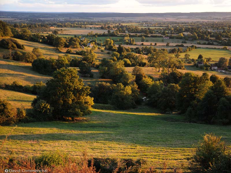 Les coteaux historiques - Coudehard