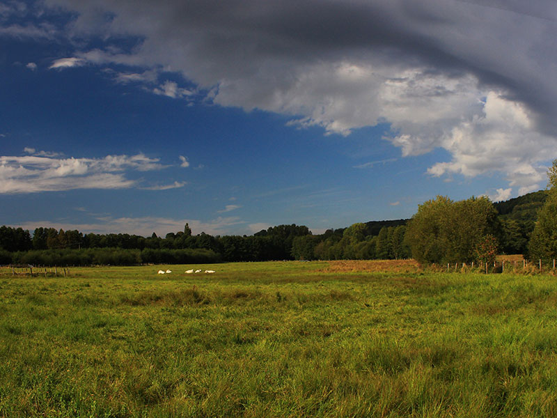 Vallée et marais de Bretoncelles dans l'Orne en Normandie