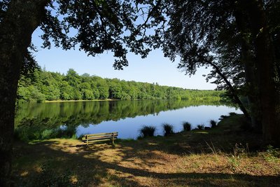 Etang de la lande forêt - Le Grais