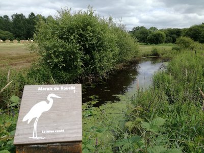 Marais de Rouellé - Domfront-en-Poiraie