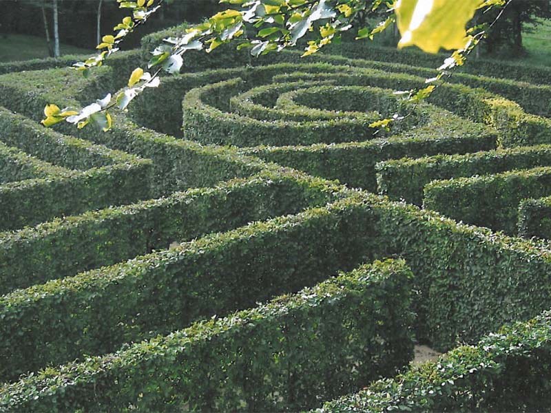 Jardin du château - Le Champ de la Pierre