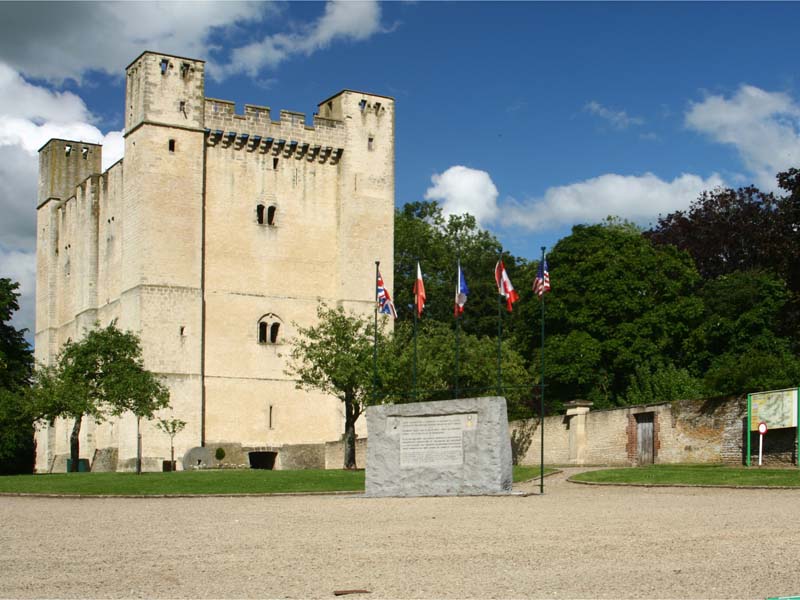 Donjon de Chambois