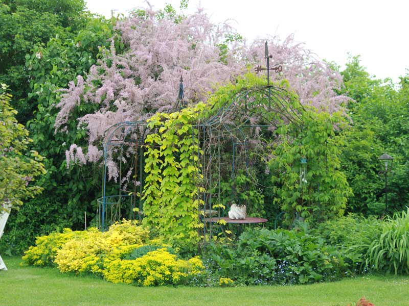 Jardin de la Folêterie - Trémont