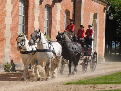 Haras national du Pin - Le Pin au Haras