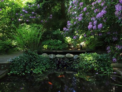 Jardin Retiré - Bagnoles de l'Orne