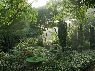 Jardin Intérieur à ciel ouvert - Athis de l'Orne