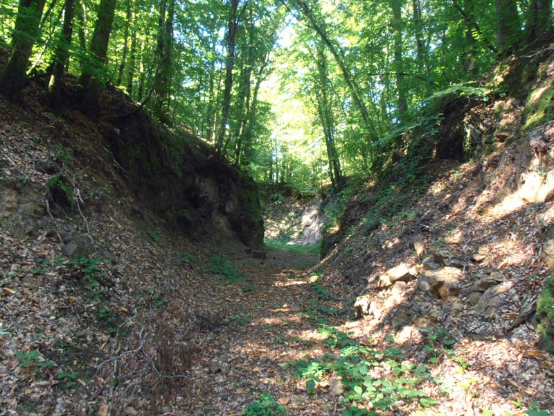 Minière de La Ferrière aux Etangs