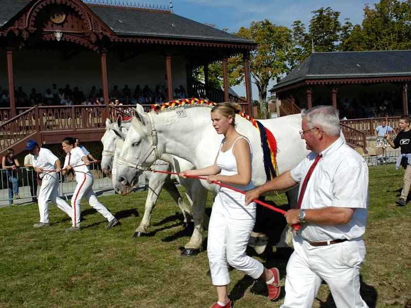 Hippodrome - Mortagne au Perche