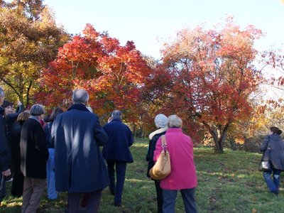 Arboretum de Boiscorde - Rémalard