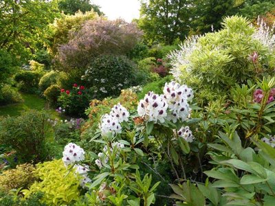 Jardin Bleuenn - La Ferté Macé