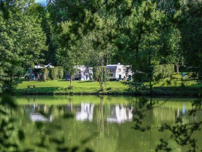 Forest-view-dorceau