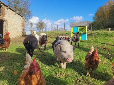 Ferme pédagogique de Feings