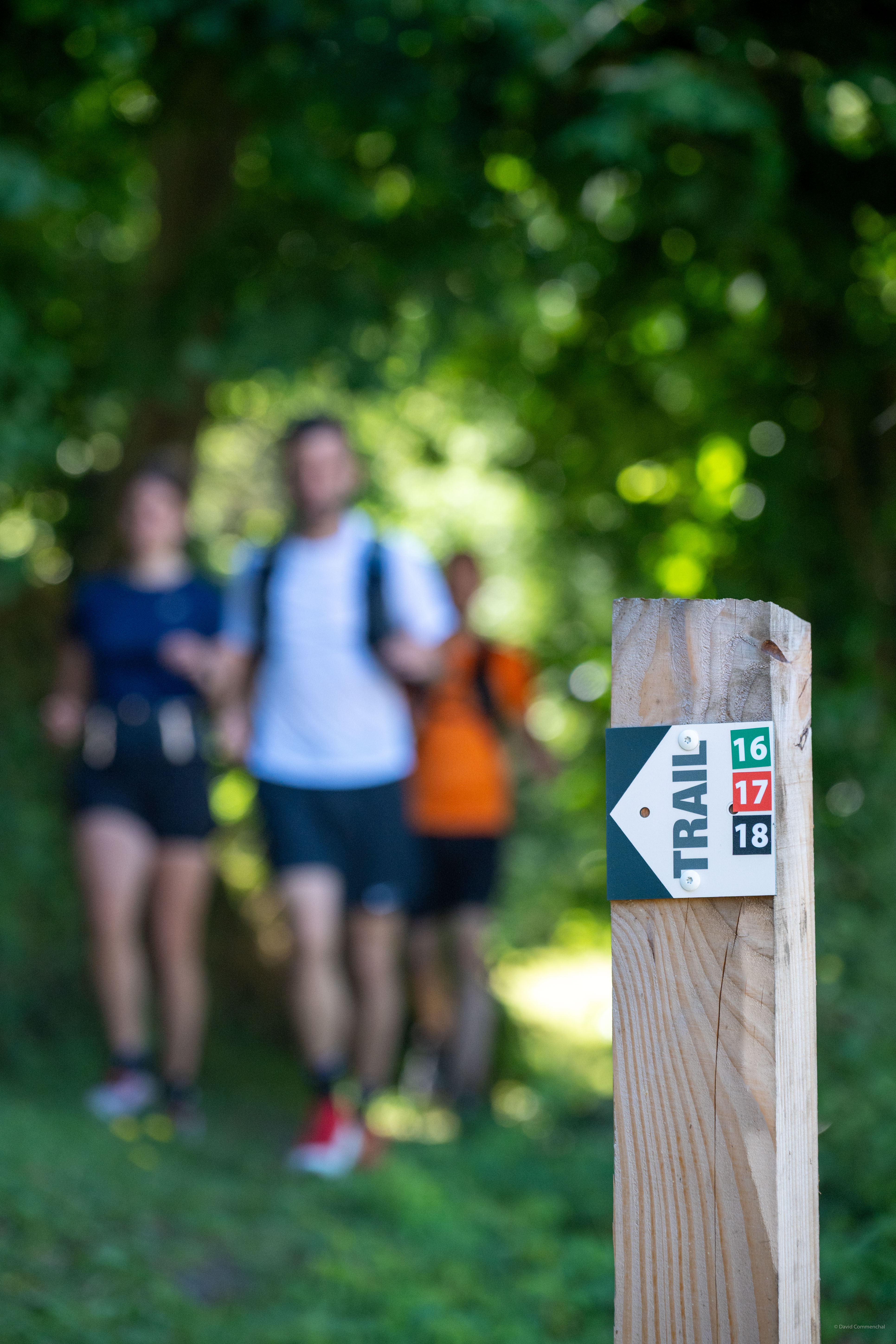 Suisse Normande Trail