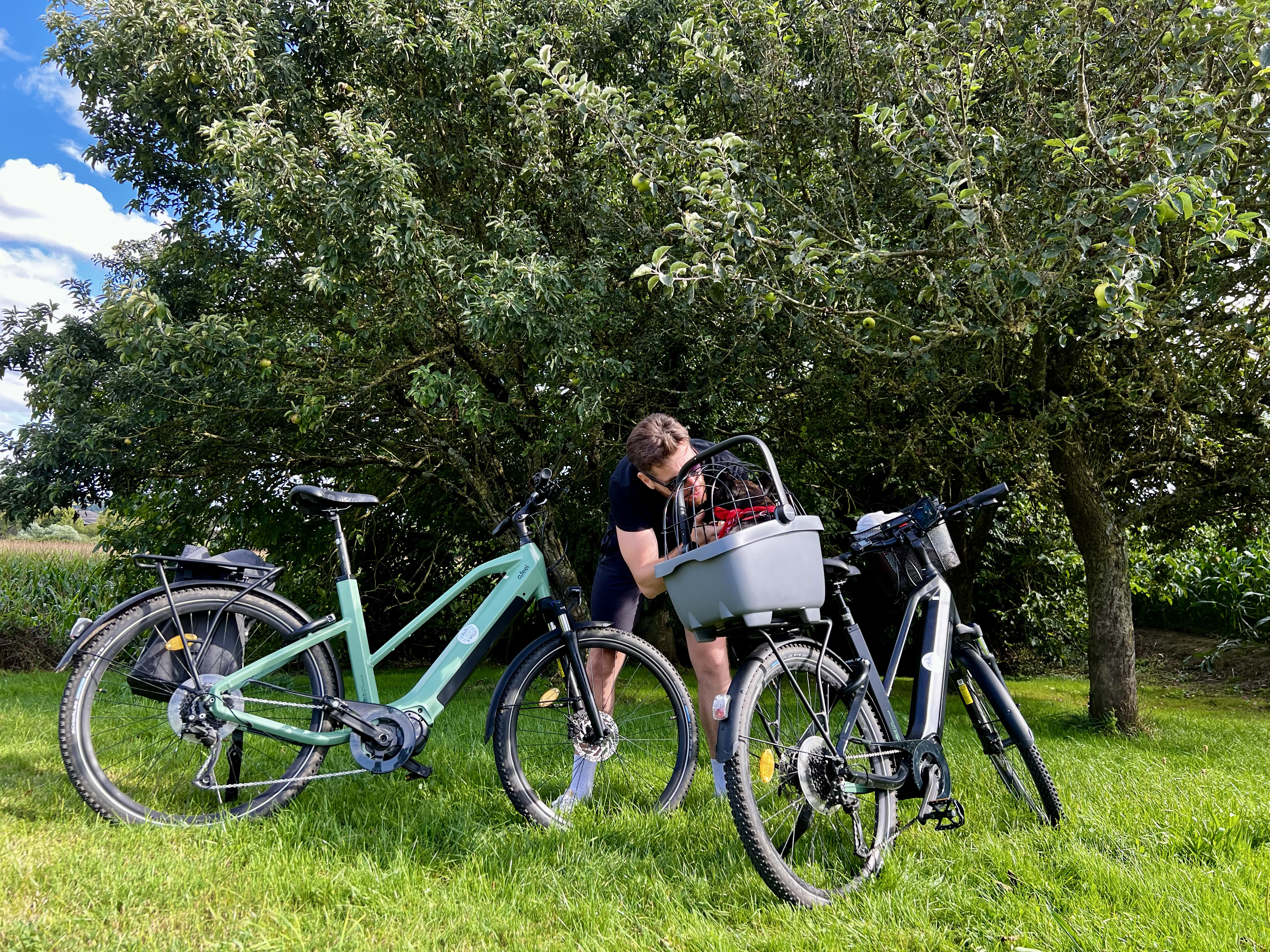 Le Perche à Vélo - location de vélo