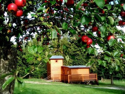Le chalet Tchanqué de la forêt