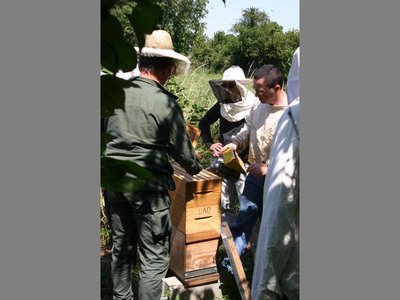 ecomusee_apiculture12_800