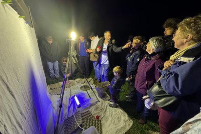 Decouverte_inventaire_papillon_nuit_credit_Michel_JARDIN