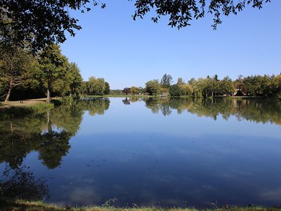 Étang_de_Saint_Maurice_lès_Charencey©F.Demeule