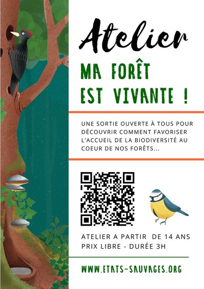 Flyers & affichettes - 2