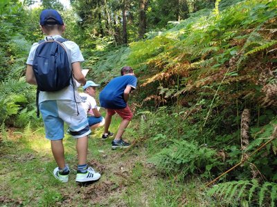 Balade sensorielle à Echauffour