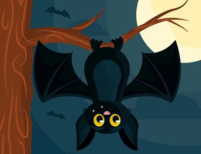 A la découverte des chauves-souris à Pontchardon