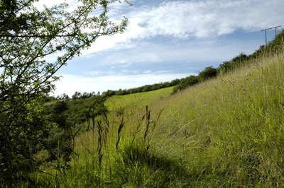 Coteau_bandonniere.paysage©D.COMMENCHAL (2)