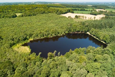 Etang_lande foret_C.AUBERT (1)