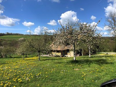 Forêt Jardin des Hayes à St Evroult de Montfort
