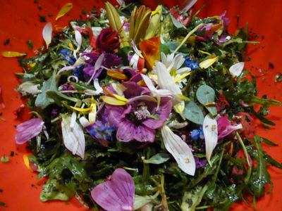 Atlier dégustation salade sauvage