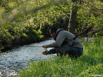 La Pêche dans l'Orne