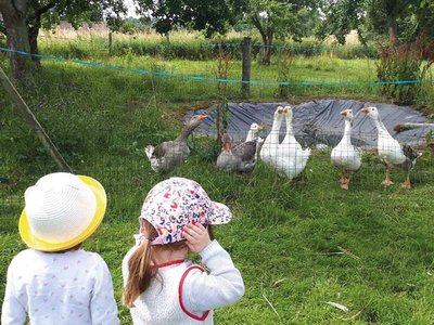 Ateliers ferme d'apolline