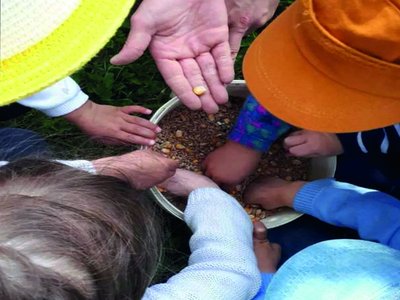 fermed'Apolline 800x600