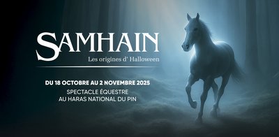 251001-Maquette-siteweb-1140x560px